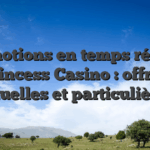 Promotions en temps réel du Princess Casino : offres actuelles et particulières